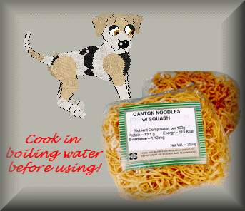 Minibyte's noodles