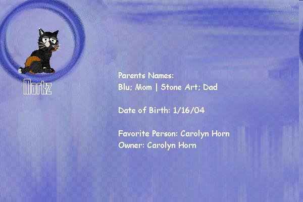 A certificate for Markz