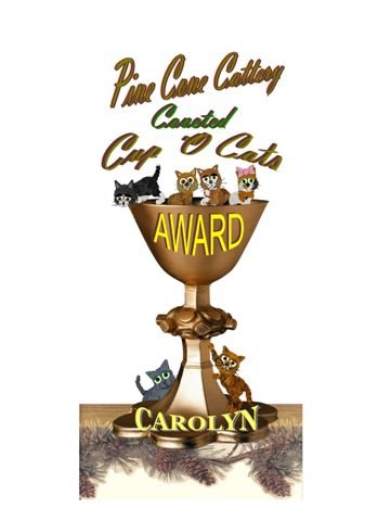 Have fun at the Pine Cone Cattery