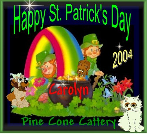 Paddy's Day