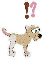 Pookie