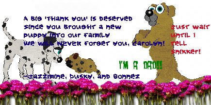 A lovely thank you from Ashlie
