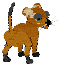 bear