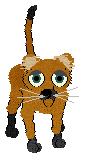 teddy