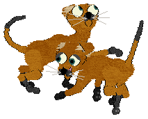 teddy and bear