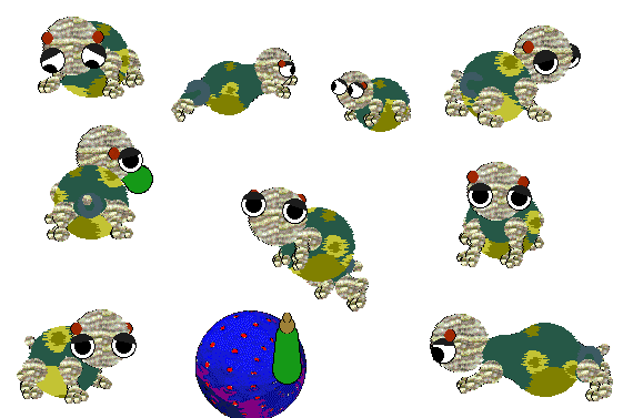 The Turtle