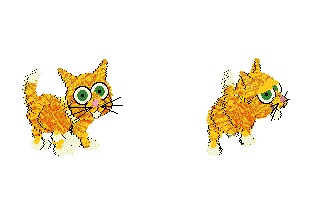 Ginger+WhiteTabby