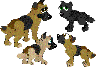 GermanShepherd(Sarans)