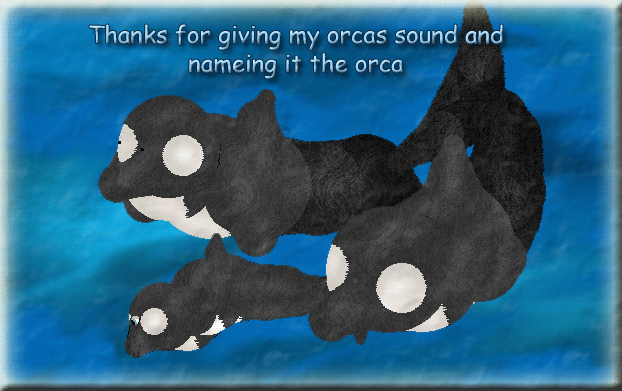 beautiful Orcas