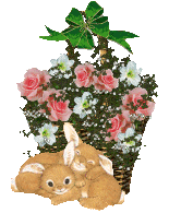 A Site Fights Blooming Basket from Winterfall